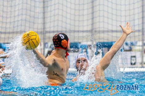 Box Logistics Waterpolo Poznań - KSZO Ostrowiec Świętokrzyski  Foto: lepszyPOZNAN.pl/Piotr Rychter