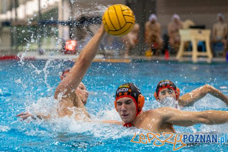 Box Logistics Waterpolo Poznań - KSZO Ostrowiec Świętokrzyski  Foto: lepszyPOZNAN.pl/Piotr Rychter