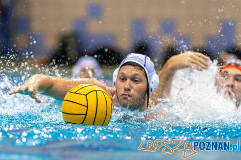 Box Logistics Waterpolo Poznań - KSZO Ostrowiec Świętokrzyski  Foto: lepszyPOZNAN.pl/Piotr Rychter