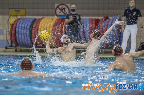 box Logistics Waterpolo Poznań –KSZO Ostrowiec Waterpolo  Foto: lepszyPOZNAN.pl/Ewelina Jaśkowiak