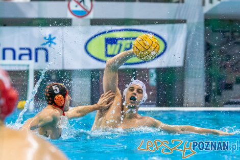 Box Logistics Waterpolo Poznań - KSZO Ostrowiec Świętokrzyski  Foto: lepszyPOZNAN.pl/Piotr Rychter