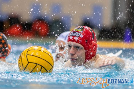 Box Logistics Waterpolo Poznań - KSZO Ostrowiec Świętokrzyski  Foto: lepszyPOZNAN.pl/Piotr Rychter