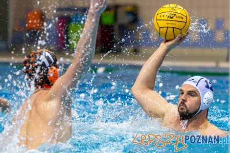 Box Logistics Waterpolo Poznań - KSZO Ostrowiec Świętokrzyski  Foto: lepszyPOZNAN.pl/Piotr Rychter