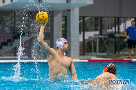 Box Logistics Waterpolo Poznań - KSZO Ostrowiec Świętokrzyski  Foto: lepszyPOZNAN.pl/Piotr Rychter