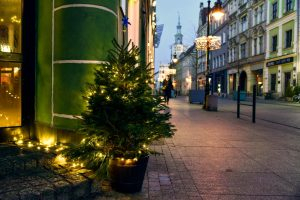 choinki udekorowaly ulice poznania  Foto: materiały prasowe / UMP