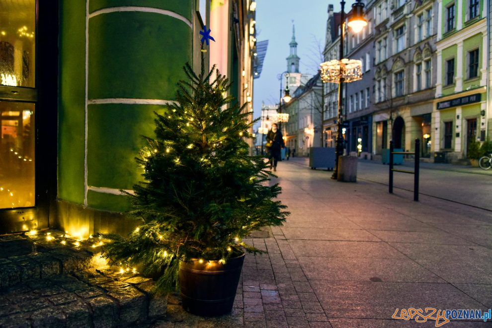 choinki udekorowaly ulice poznania  Foto: materiały prasowe / UMP