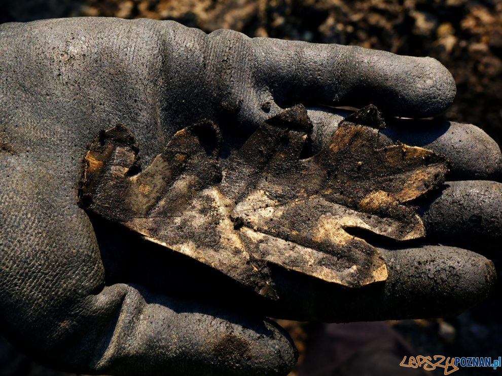 Liść - archeolodzy na Starym Rynku  Foto: Kateriny Zisopulu-Bleja / Muzeum Archeologiczne 