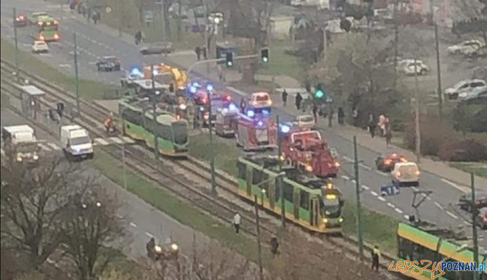 Wypadek Zamenhofa  Foto: Alert Poznan