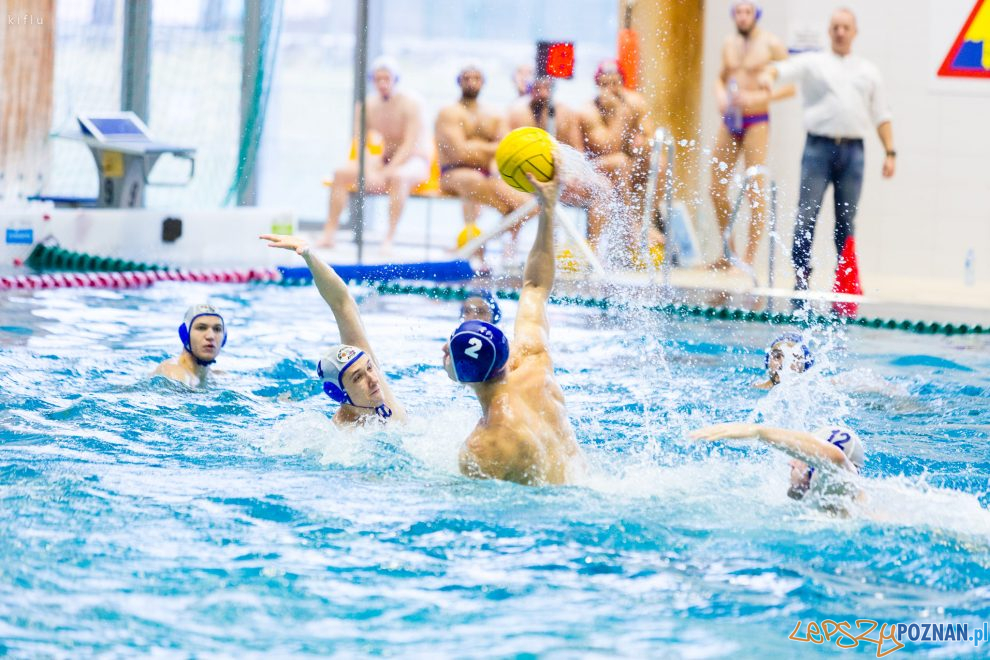 Box Logistics Waterpolo Poznań- Łukosz WTS Polonia Bytom  Foto: materiały prasowe / Maciej Ulfikkiflu