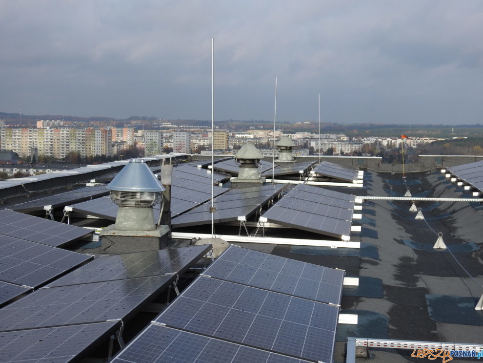 Panele w PSM Winogrady  Foto: materiały prasowe IBC Solar