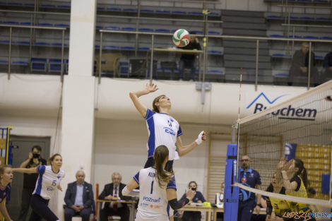 Enea Energetyk Poznań -  SAN-Pajda Volleyball Team  Foto: lepszyPOZNAN.pl/Ewelina Jaśkowiak