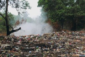 Dzikie wysypiska to prawdziwa plaga. Trafiają na nie m.in. plastikowe torby  Foto: Amest / materiały prasowe