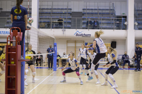 Enea Energetyk Poznań -  SAN-Pajda Volleyball Team  Foto: lepszyPOZNAN.pl/Ewelina Jaśkowiak