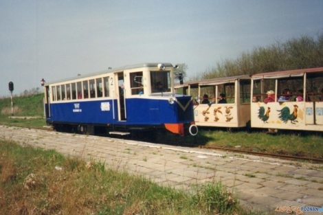 ryjek na trasie maltanki rok 1994  Foto: materiały prasowe / UMP / M. Mąkowski