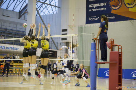 Enea Energetyk Poznań -  SAN-Pajda Volleyball Team  Foto: lepszyPOZNAN.pl/Ewelina Jaśkowiak