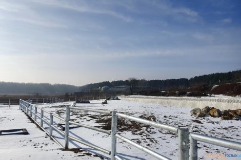 Nowy pawilon dla nosorożców i żyraf w Nowym Zoo  Foto: materiały prasowe / UMP