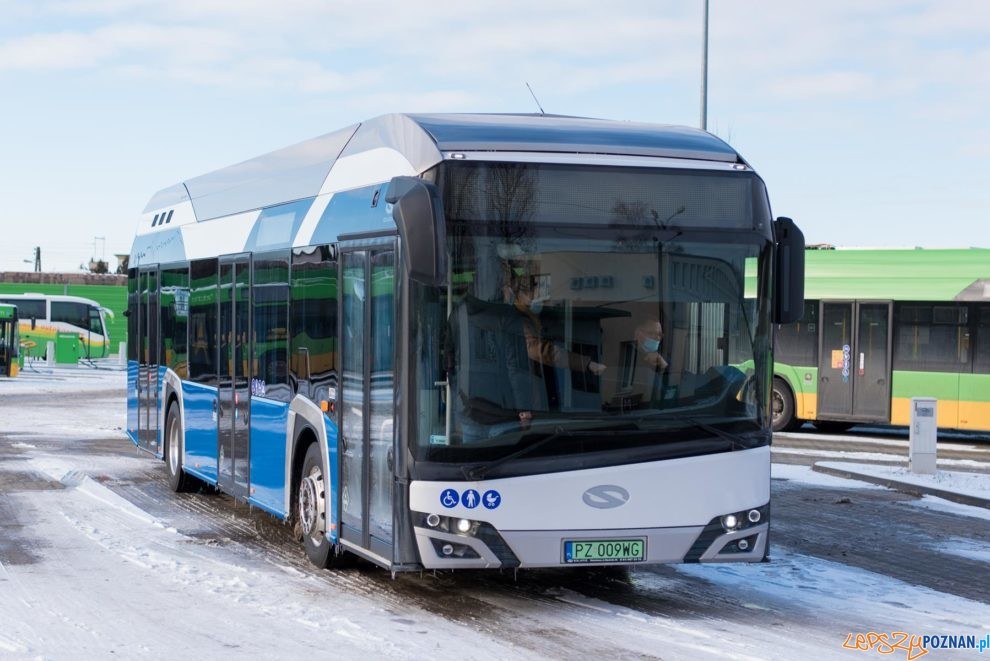 Autobus wodorowy Solaris  Foto: materiały prasowe / UMP