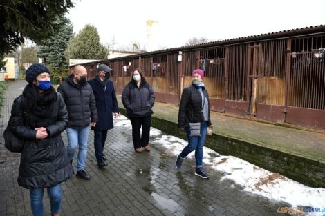 Schronisko dl aZwierząt na Grunwaldzkiej  Foto: materiały prasowe / UMP