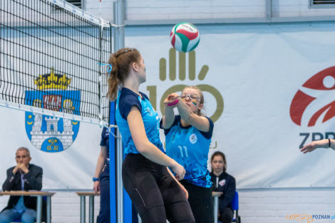 Finał Wielkopolski Juniorek Młodszych - Szamotulanin Szamotuł  Foto: lepszyPOZNAN.pl/Piotr Rychter