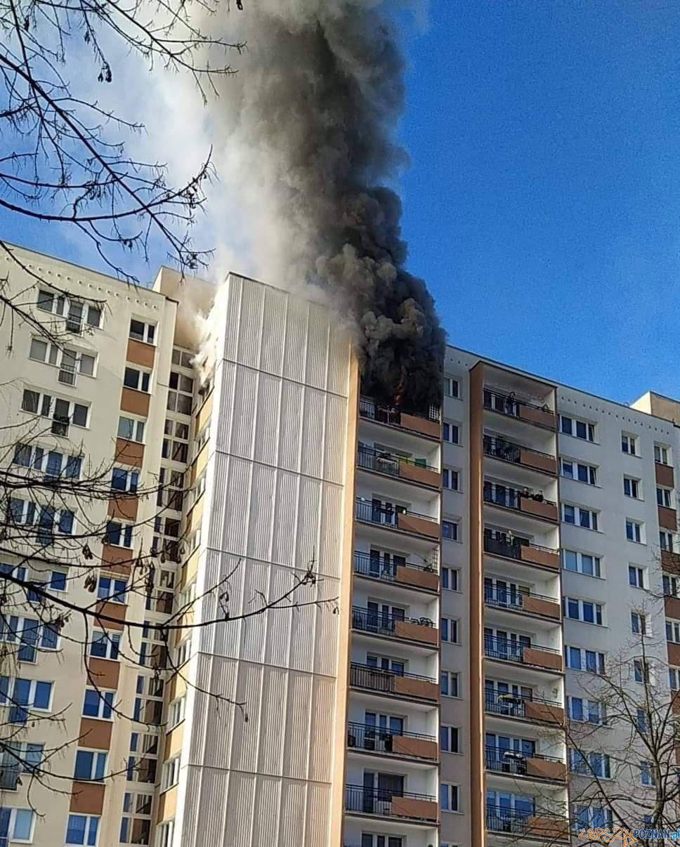 Pożar na kopernika  Foto: materiały / zrzutka.pl