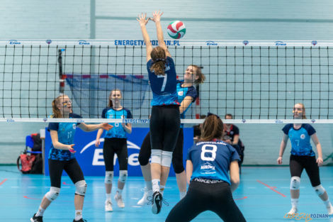 Finał Wielkopolski Juniorek Młodszych - Szamotulanin Szamotuł  Foto: lepszyPOZNAN.pl/Piotr Rychter