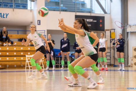 1//4 Mistrzostw Polski Juniorek - Enea Energetyk Poznań - Voley  Foto: lepszyPOZNAN.pl/Piotr Rychter