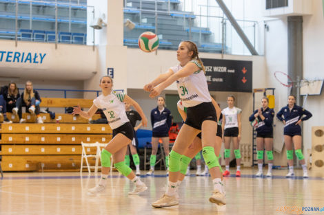 1//4 Mistrzostw Polski Juniorek - Enea Energetyk Poznań - Voley  Foto: lepszyPOZNAN.pl/Piotr Rychter