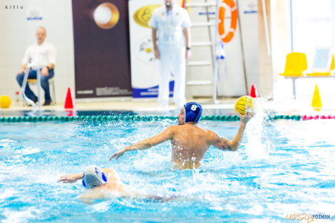 Box Logistics Waterpolo Poznań  Foto: materiały prasowe / Maciej Ulfik