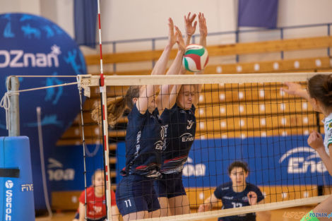 1//4 Mistrzostw Polski Juniorek - Enea Energetyk Poznań - Voley  Foto: lepszyPOZNAN.pl/Piotr Rychter