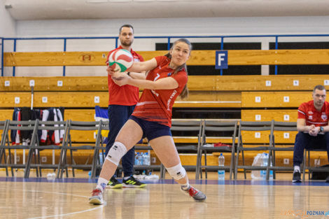 1//4 Mistrzostw Polski Juniorek - Enea Energetyk Poznań - Voley  Foto: lepszyPOZNAN.pl/Piotr Rychter