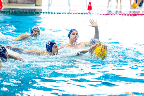 Box Logistics Waterpolo Poznań  Foto: materiały prasowe / Maciej Ulfik