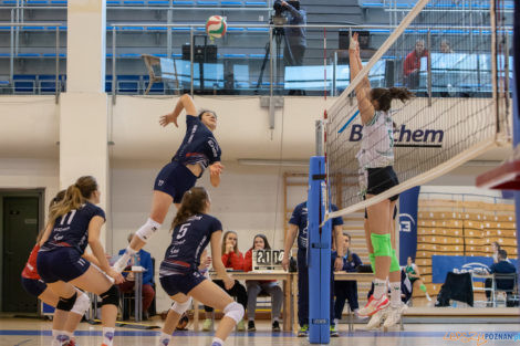 1//4 Mistrzostw Polski Juniorek - Enea Energetyk Poznań - Voley  Foto: lepszyPOZNAN.pl/Piotr Rychter