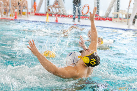 Box Logistics Waterpolo Poznań -  Łukosz WTS Polonia Bytom  Foto: lepszyPOZNAN.pl/Piotr Rychter