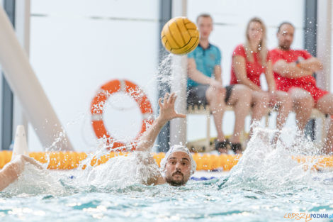 Box Logistics Waterpolo Poznań -  Łukosz WTS Polonia Bytom  Foto: lepszyPOZNAN.pl/Piotr Rychter