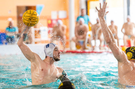 Box Logistics Waterpolo Poznań -  Łukosz WTS Polonia Bytom  Foto: lepszyPOZNAN.pl/Piotr Rychter