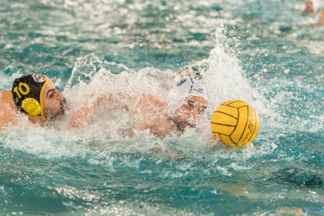 Box Logistics Waterpolo Poznań -  Łukosz WTS Polonia Bytom  Foto: lepszyPOZNAN.pl/Piotr Rychter