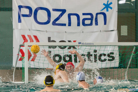 Box Logistics Waterpolo Poznań -  Łukosz WTS Polonia Bytom  Foto: lepszyPOZNAN.pl/Piotr Rychter