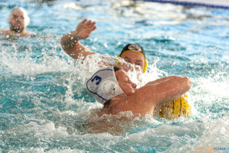 Box Logistics Waterpolo Poznań -  Łukosz WTS Polonia Bytom  Foto: lepszyPOZNAN.pl/Piotr Rychter