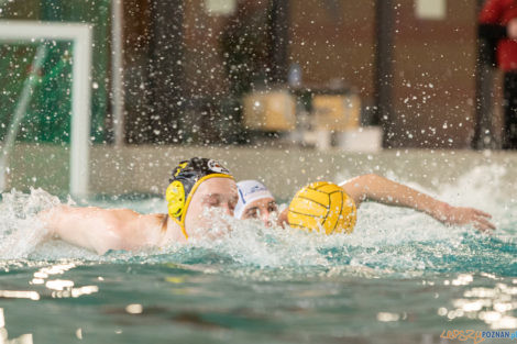 Box Logistics Waterpolo Poznań -  Łukosz WTS Polonia Bytom  Foto: lepszyPOZNAN.pl/Piotr Rychter