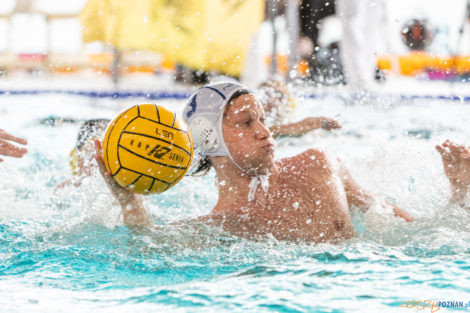 Box Logistics Waterpolo Poznań -  Łukosz WTS Polonia Bytom  Foto: lepszyPOZNAN.pl/Piotr Rychter