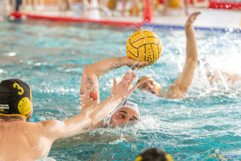 Box Logistics Waterpolo Poznań -  Łukosz WTS Polonia Bytom  Foto: lepszyPOZNAN.pl/Piotr Rychter