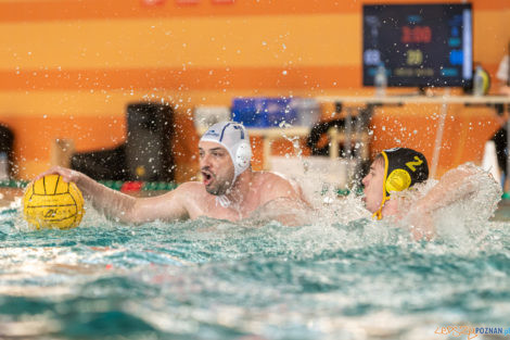 Box Logistics Waterpolo Poznań -  Łukosz WTS Polonia Bytom  Foto: lepszyPOZNAN.pl/Piotr Rychter