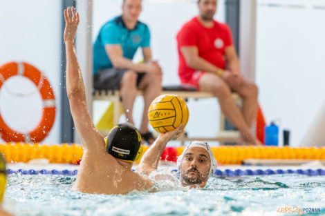 Box Logistics Waterpolo Poznań -  Łukosz WTS Polonia Bytom  Foto: lepszyPOZNAN.pl/Piotr Rychter