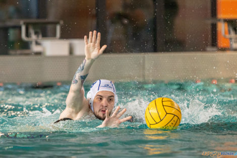 Box Logistics Waterpolo Poznań -  Łukosz WTS Polonia Bytom  Foto: lepszyPOZNAN.pl/Piotr Rychter