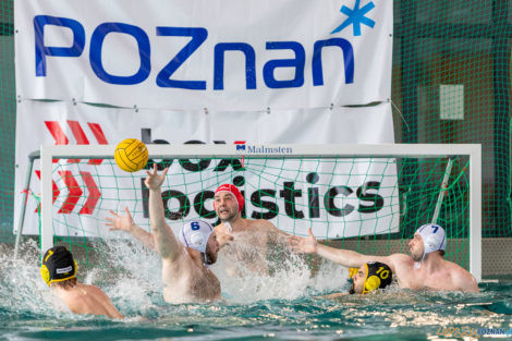 Box Logistics Waterpolo Poznań -  Łukosz WTS Polonia Bytom  Foto: lepszyPOZNAN.pl/Piotr Rychter