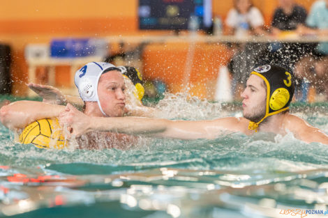 Box Logistics Waterpolo Poznań -  Łukosz WTS Polonia Bytom  Foto: lepszyPOZNAN.pl/Piotr Rychter