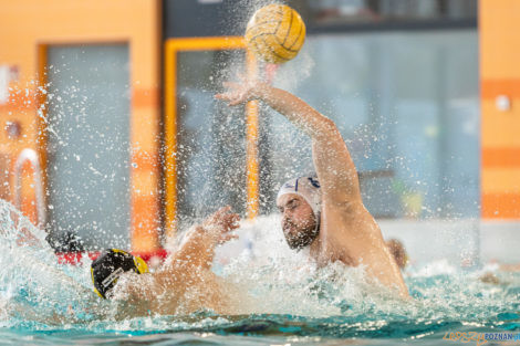 Box Logistics Waterpolo Poznań -  Łukosz WTS Polonia Bytom  Foto: lepszyPOZNAN.pl/Piotr Rychter