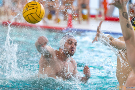 Box Logistics Waterpolo Poznań -  Łukosz WTS Polonia Bytom  Foto: lepszyPOZNAN.pl/Piotr Rychter