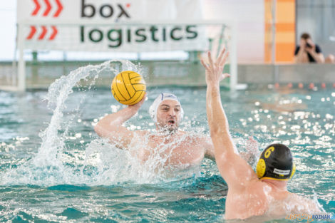 Box Logistics Waterpolo Poznań -  Łukosz WTS Polonia Bytom  Foto: lepszyPOZNAN.pl/Piotr Rychter