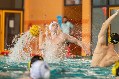 Box Logistics Waterpolo Poznań -  Łukosz WTS Polonia Bytom  Foto: lepszyPOZNAN.pl/Piotr Rychter